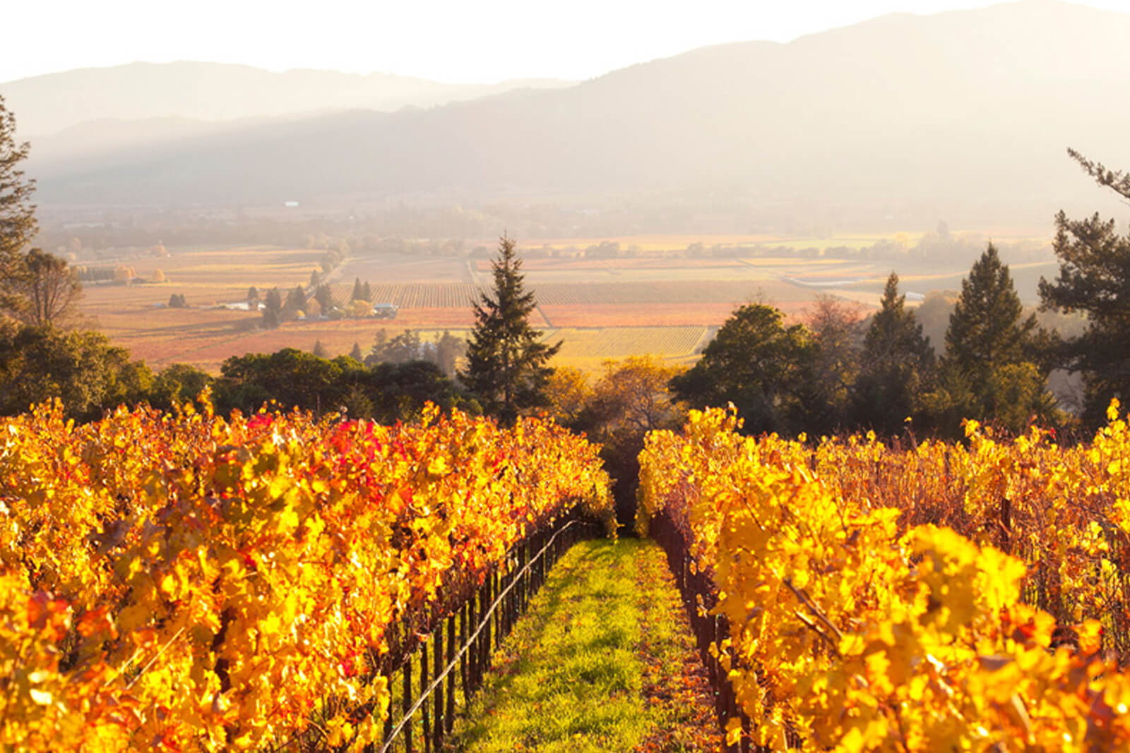 Fall Harvest Party